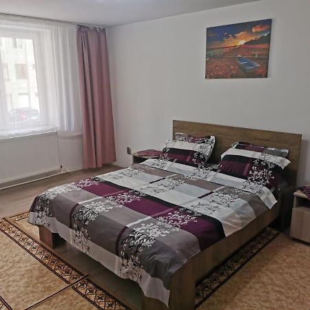 Apartament Bucovina Apartment Campulung Moldovenesc Luaran gambar