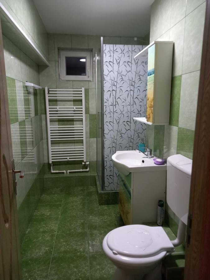 Apartament Bucovina Apartment Campulung Moldovenesc Luaran gambar