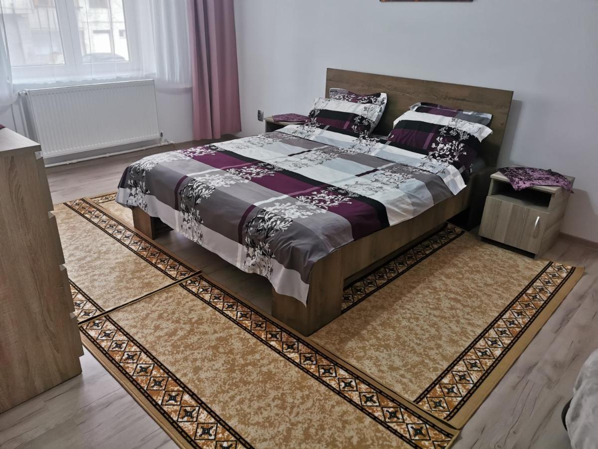 Apartament Bucovina Apartment Campulung Moldovenesc Luaran gambar