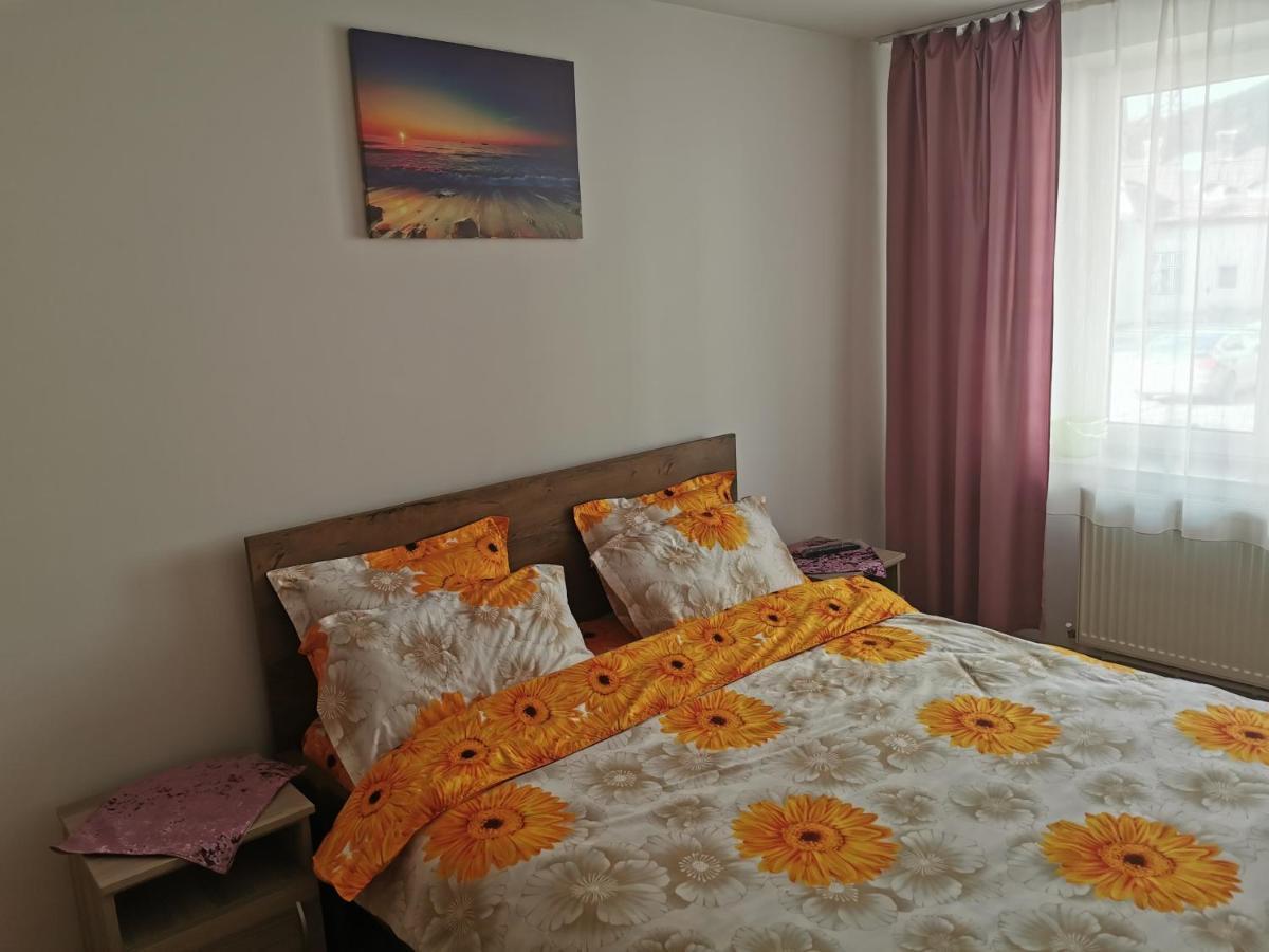 Apartament Bucovina Apartment Campulung Moldovenesc Luaran gambar