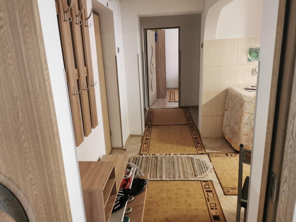 Apartament Bucovina Apartment Campulung Moldovenesc Luaran gambar