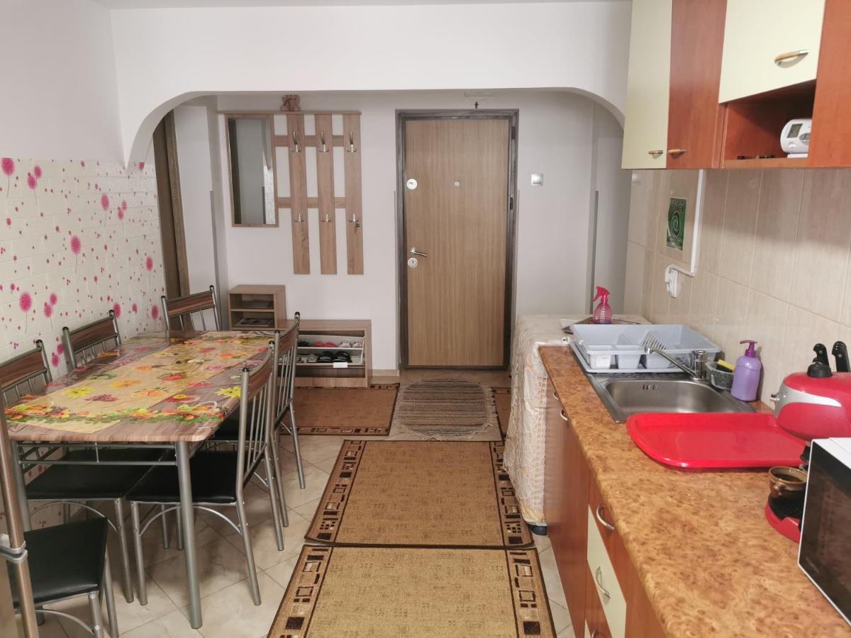 Apartament Bucovina Apartment Campulung Moldovenesc Luaran gambar