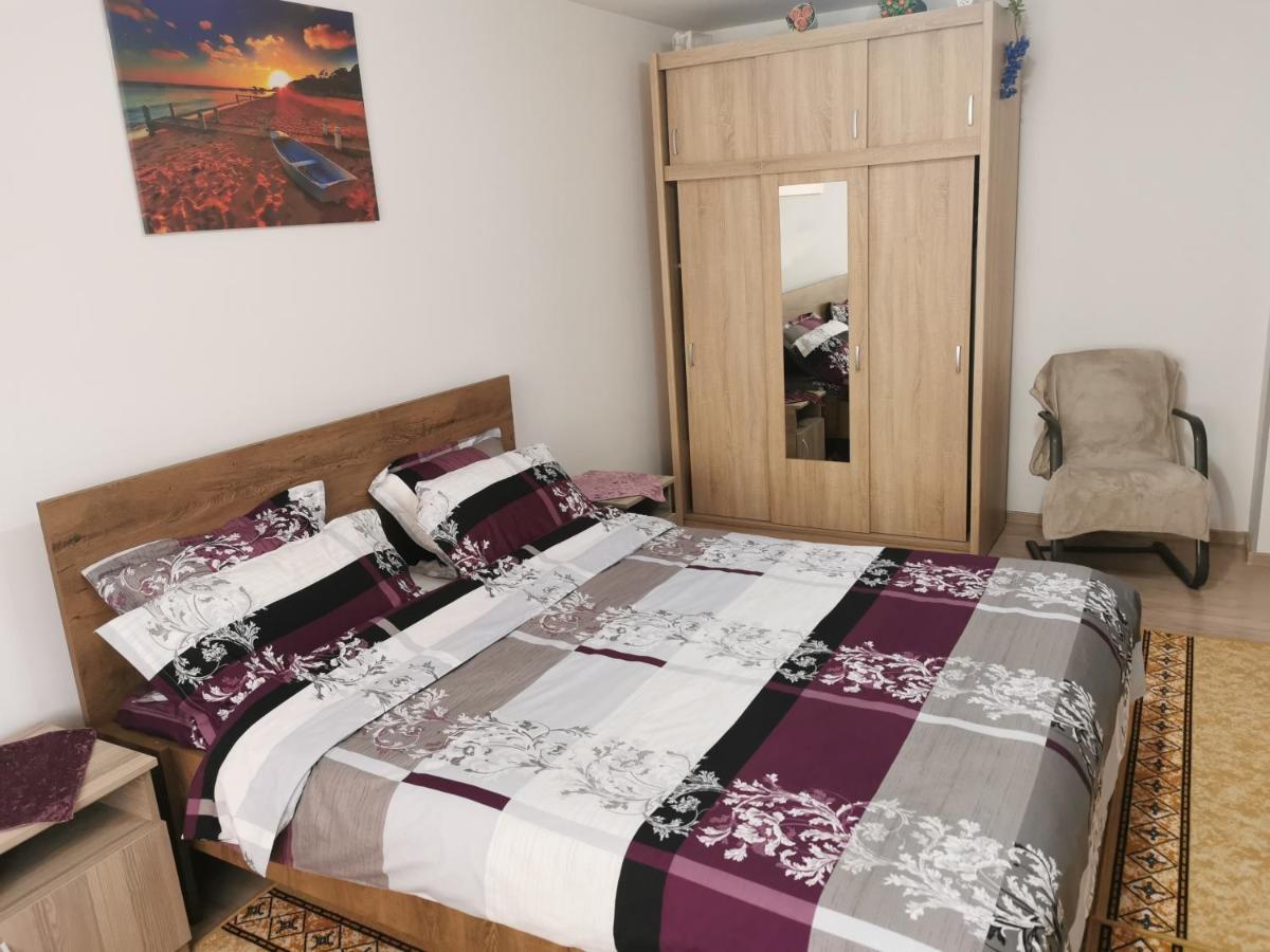 Apartament Bucovina Apartment Campulung Moldovenesc Luaran gambar